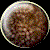 logo_111.gif